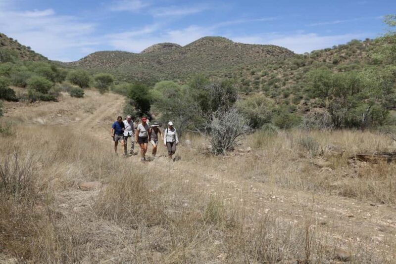 Windhoek: Dustenbrook Scenic Game Drive - Key Points