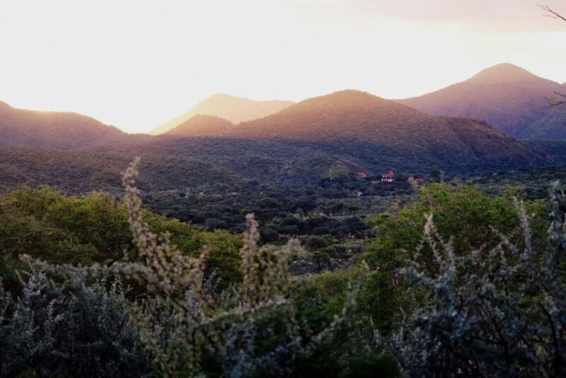 Windhoek: Dustenbrook Scenic Game Drive - Introduction: Why the Dustenbrook Scenic Game Drive Matters