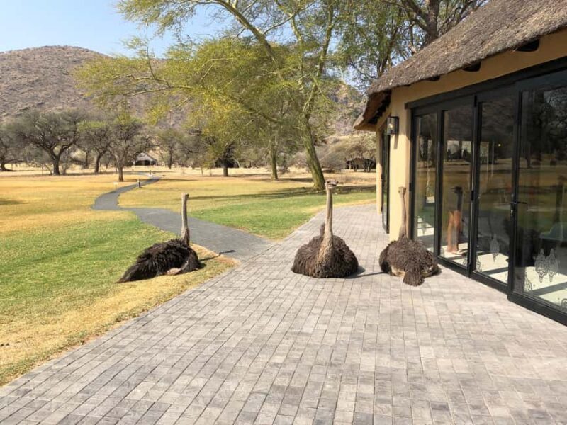 Windhoek: Okapuka Game Ranch Guided Tour - An Honest Look at the Tour