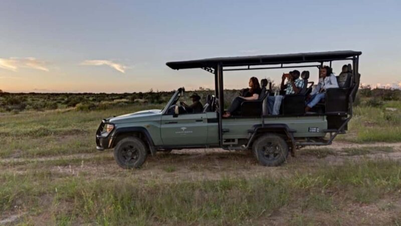 Windhoek: Rhino Tracking Tour with Hotel Pickup - The Overall Experience: Is It Worth It?