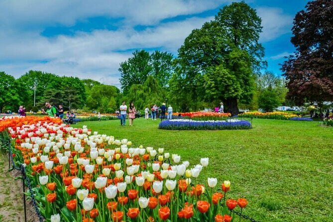 Windmill Island 1 Day Tour from Chicago | Kids 50% Off - What’s Included and What’s Not: A Closer Look