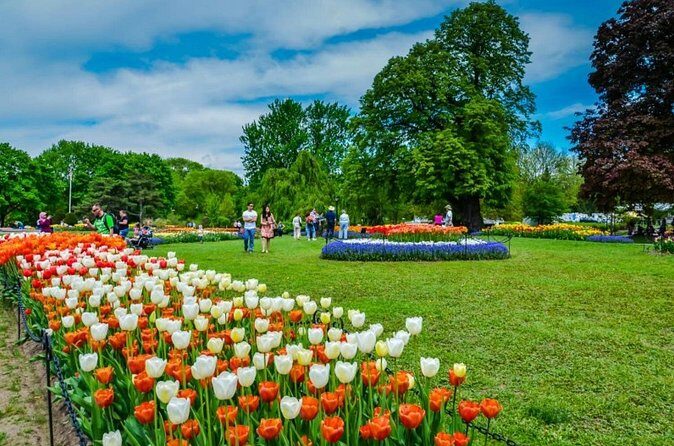 Windmill Island 1 Day Tour from Chicago | Kids 50% Off - A Detailed Look at the Itinerary