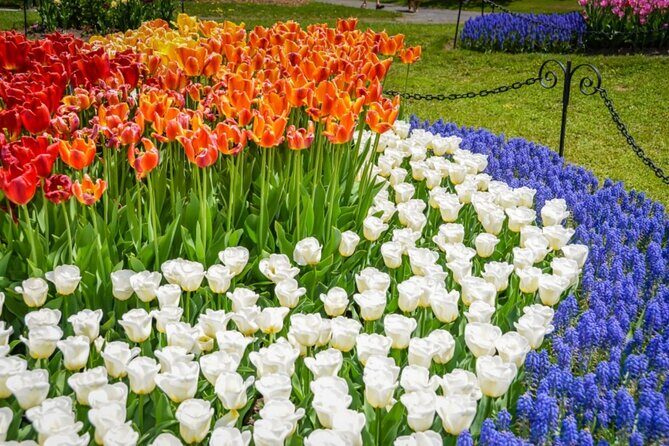 Windmill Island 1 Day Tour from Chicago | Kids 50% Off - Practicalities: What You Need to Know