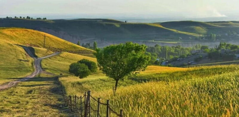 Windows Desktop Theme - Poppy Fields from Tashkent - Final Thoughts