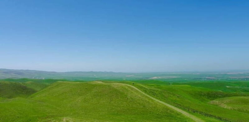 Windows Desktop Theme - Poppy Fields from Tashkent - FAQ