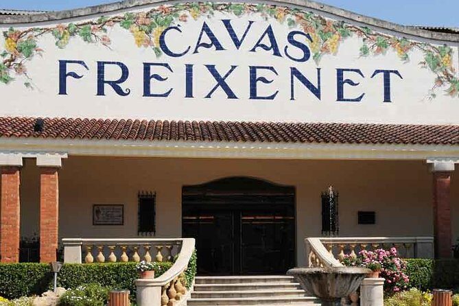 Wine and Cheese Route: Artisan Flavors at Freixenet and Bocanegra - An In-Depth Look at the Wine and Cheese Route