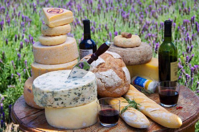 Wine and Cheese Route: Artisan Flavors at Freixenet and Bocanegra - Final Thoughts