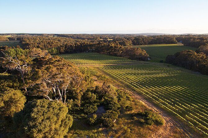 Wine and Chocolate Bonbon Tasting in Margaret River - A Tasty Journey Through Margaret River: Wine and Chocolate Bonbon Tasting