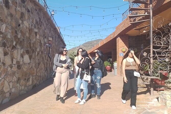 Wine and gastronomic tour in Guadalupe Valley for groups 6 - Why This Tour Offers Good Value
