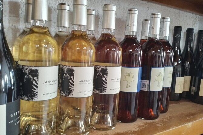 Wine and gastronomic tour in Guadalupe Valley for groups 6 - The Sum Up