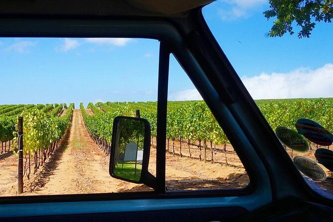 Wine Beer and Biltong Safari - Stellenbosch - The Sum Up