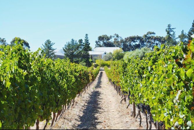 Wine Beer and Biltong Safari - Stellenbosch - FAQ
