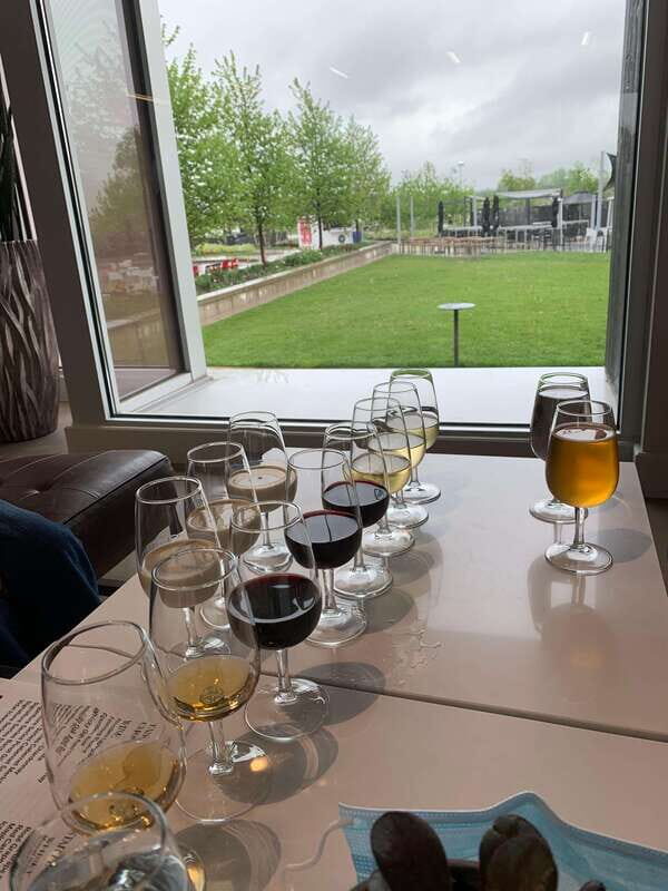 Wine & Cheese Afternoon Wine Tours in NOTL - Who Will Love This Tour?