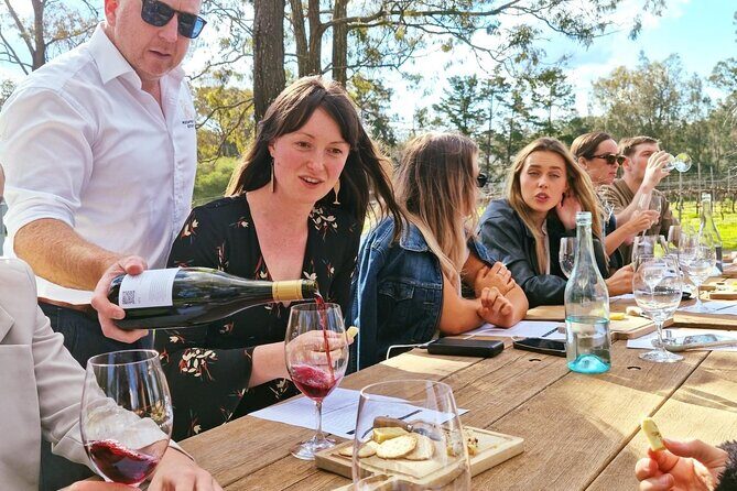 Wine & Cheese Tasting Experience in Hunter Valley - What to Expect from the Hunt Valley Wine & Cheese Tasting