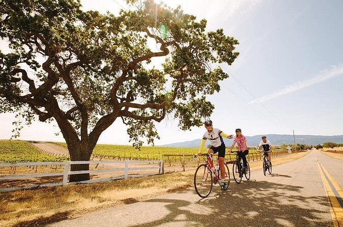 Wine Country Farm to Table Bike Tour w/Lunch - The Practical Side: What to Expect