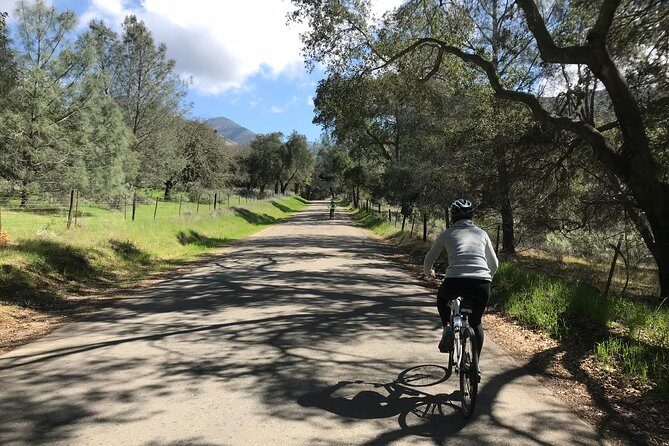 Wine Country Half-Day Bike Tour from Solvang - w/o Lunch - A Closer Look at the Itinerary and Experience