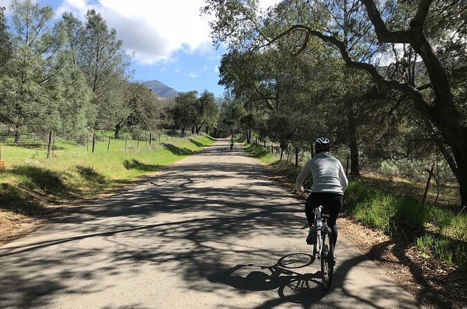 Wine Country Half-Day Bike Tour from Solvang - w/o Lunch - What Do Travelers Say?