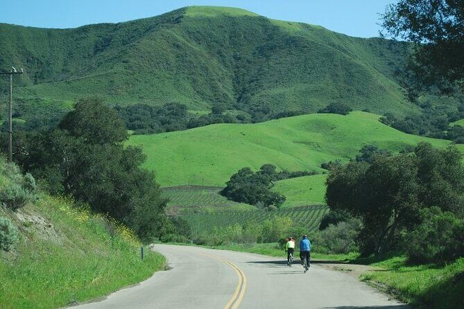 Wine Country Half-Day Bike Tour from Solvang - w/o Lunch - The Value of a Small-Group, Tasting-Focused Bike Tour