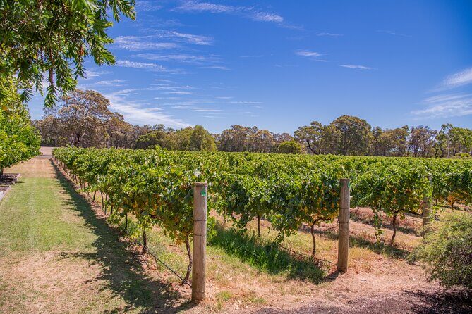 Wine, Craft Beer & Restaurant Lunch (Italian-A'la Carte). - An In-Depth Look at the Tour Experience