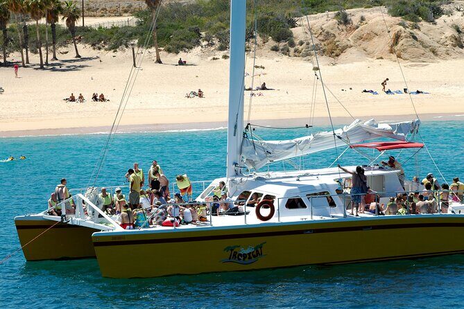 Wine & Jazz at Sunset Cruise! Round Transportation From Los Cabos - Key Points