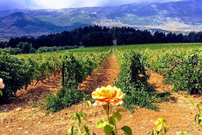 Wine Tasting and Culture - FAQ