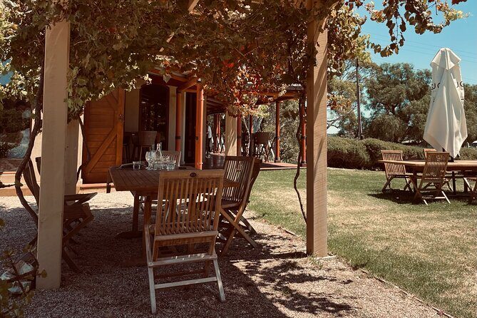 Wine Tasting and Lunch Private Tour in McLaren Vale - A Deep Dive into the Tour Experience