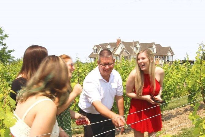 Wine Tasting and Pairing Afternoon Tour - An In-Depth Look at the Tour Experience