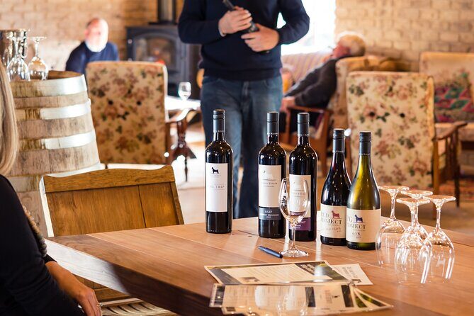 Wine Tasting at our Cellar Door in Penola - What You Can Expect During the Tasting