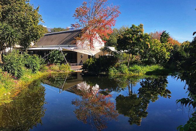 Wine Tasting, Cape Dutch Farm and Art Day Tour from Cape Town - An In-Depth Look at the Tour Experience
