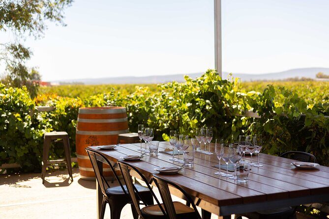 Wine Tasting Experience - Key Points