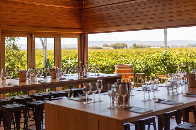 Wine Tasting Experience - The Itinerary: What to Expect During Your Visit