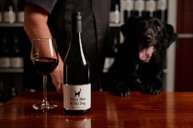 Wine Tasting Experience at Every Man and His Dog Vineyard - Key Points