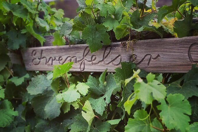 Wine Tasting Experience at Every Man and His Dog Vineyard - Is it Worth the Price?