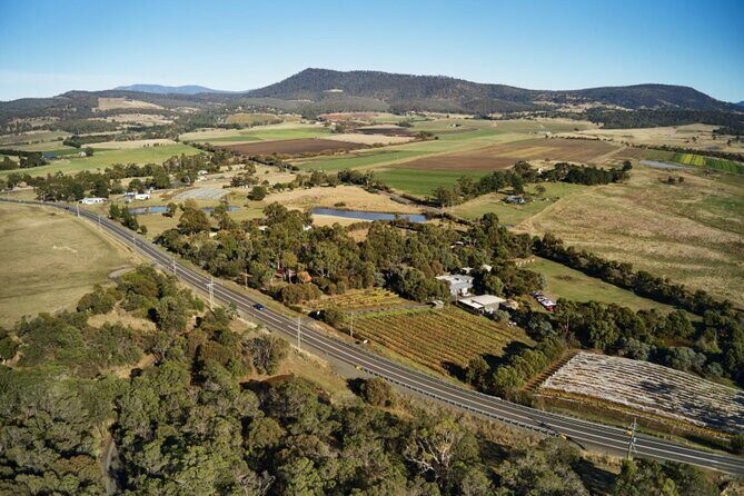 Wine Tasting Experience at Every Man and His Dog Vineyard - What Others Say