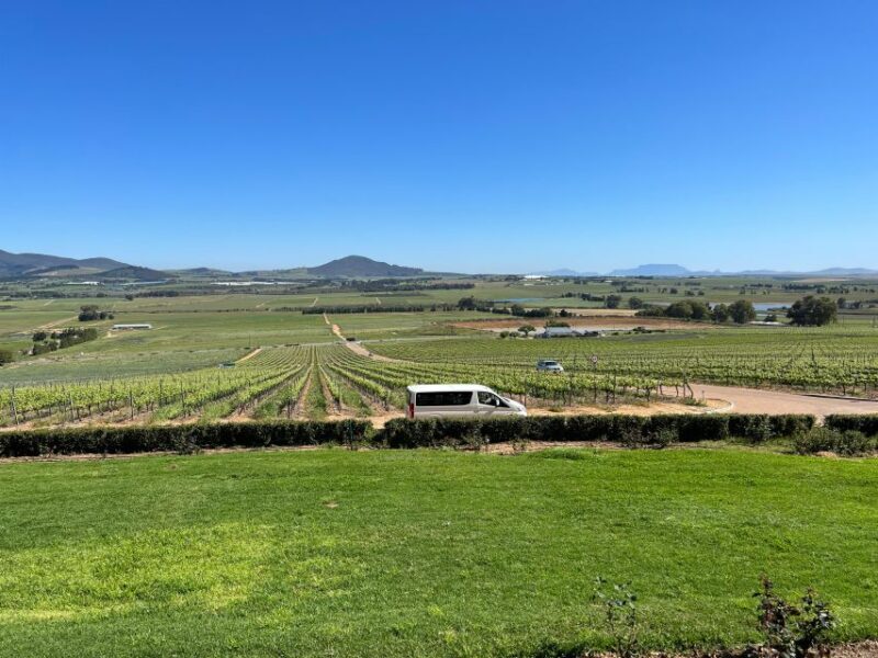 Wine tasting in FranschHoek, StellenBosch & Paarl Tour - An In-Depth Look at the Tour Experience
