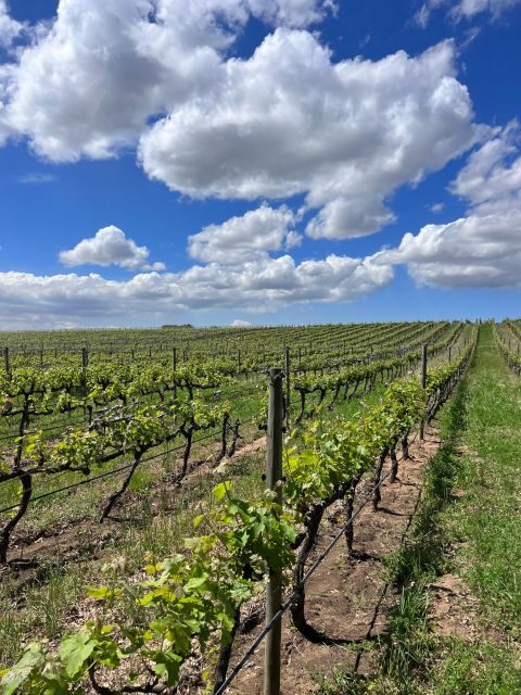 Wine tasting in FranschHoek, StellenBosch & Paarl Tour - Frequently Asked Questions