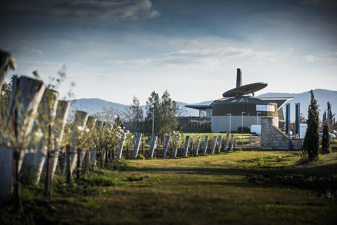 Wine Tasting in Pokolbin with Foodie Adventure - Key Points