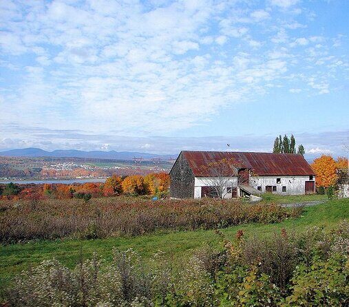 Wine Tasting on Ile d'Orleans - Key Points