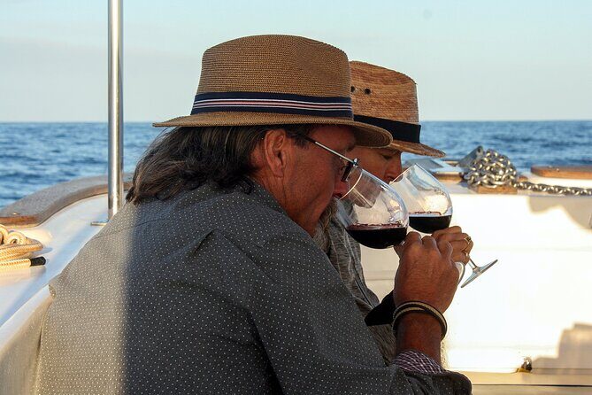 Wine Tasting Sunset Cruise Tour in San Jose del Cabo - The Experience: A Deeper Look at the Itinerary