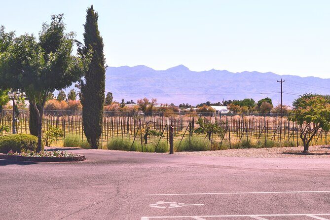 Wine Tasting Tour from Las Vegas with Snacks - What You’ll Get: Value and Experience