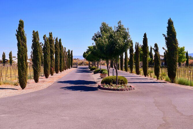 Wine Tasting Tour from Las Vegas with Snacks - The Practical Details