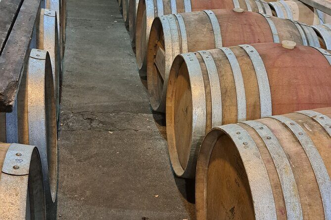 Wine Tasting Tour in Napier Region - A Closer Look at the Itinerary and Experience