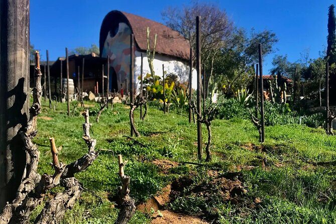 Wine Tasting Tour ONLY for Cruise Ship Visitors. ALL INCLUSIVE! - What’s Included and What’s Not