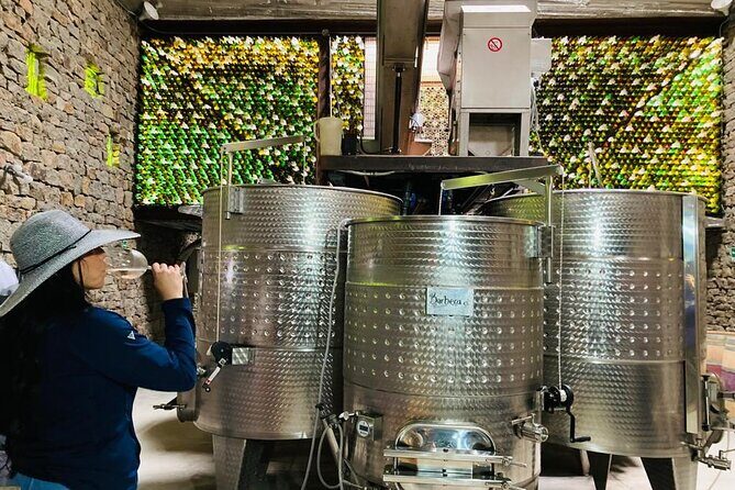 Wine Tasting Tour ONLY for Cruise Ship Visitors. ALL INCLUSIVE! - Who Will Love This Experience?