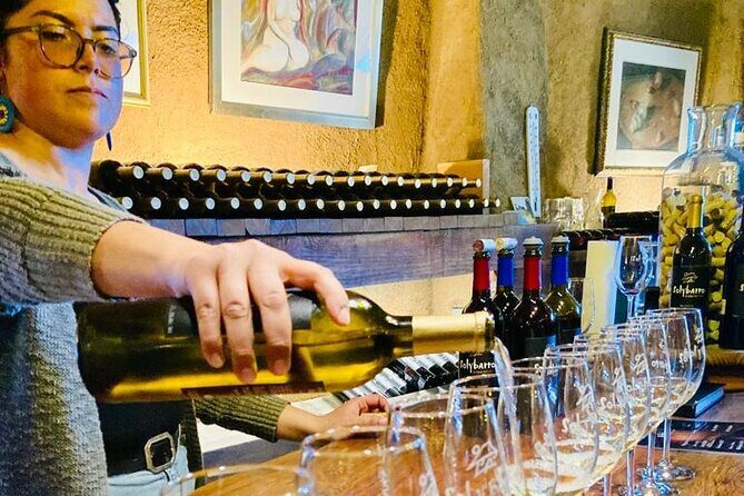 Wine Tasting Tour ONLY for Cruise Ship Visitors. ALL INCLUSIVE! - The Sum Up: Is This Tour Worth It?