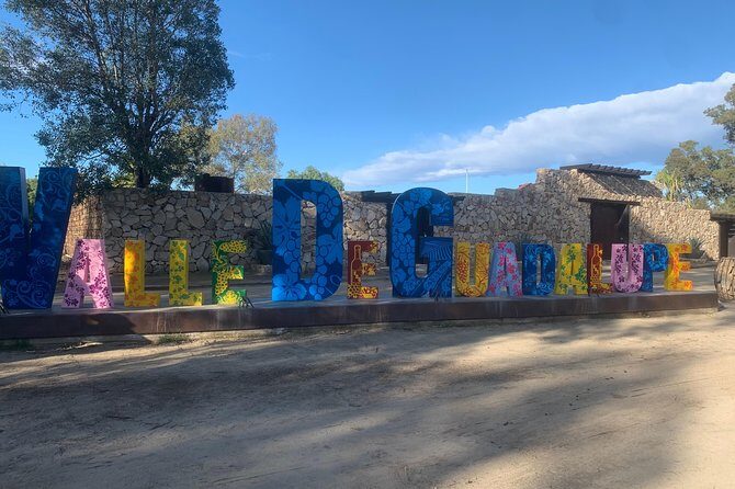 Wine tasting Valle de Guadalupe & Casa Frida - Introduction: Who This Tour Is For