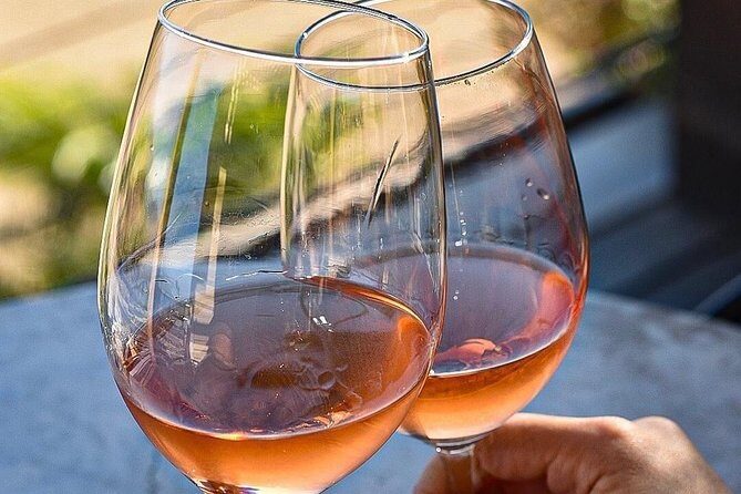 Wine tasting Valle de Guadalupe & Casa Frida - What’s Included and What’s Not