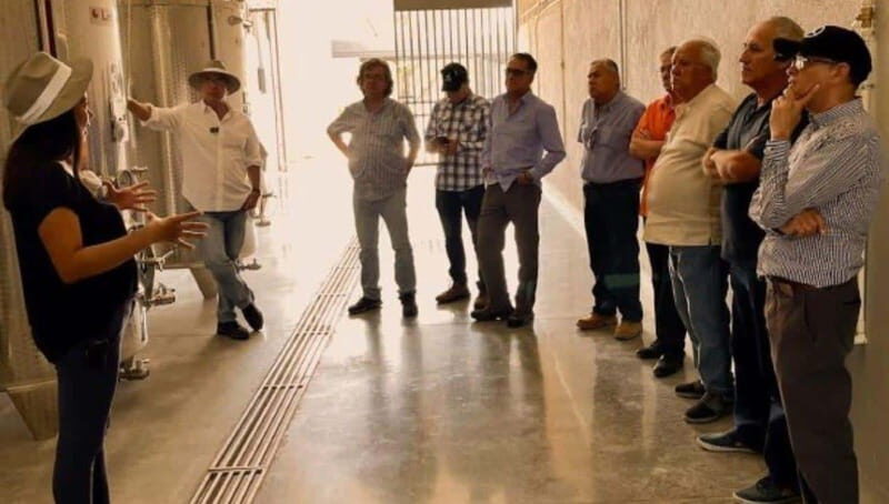 Wine tour and tasting at Vinícola Tierra de Luz - A Deep Dive into the Vinícola Tierra de Luz Experience