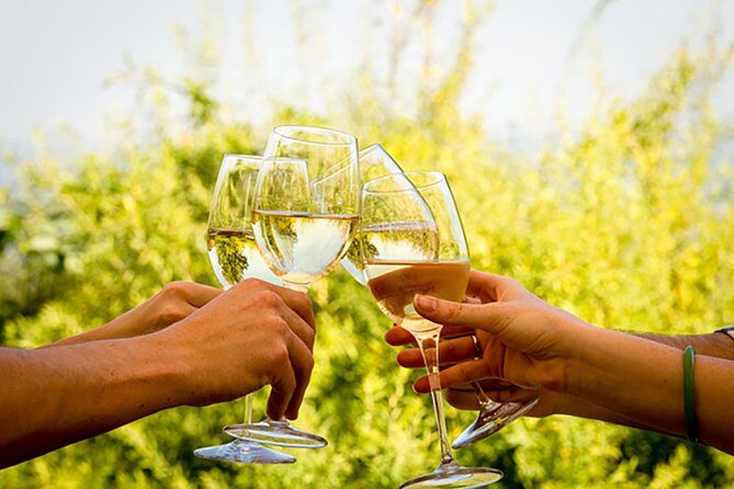 Wine Tour: Paarl, Franschhoek & Stellenbosch incl 3 wineries - What Makes This Tour Stand Out?