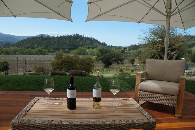 Wine Tour Pros - Dinner Transportation: SUV for Up To 6 Guests - Who Will Love This Experience?